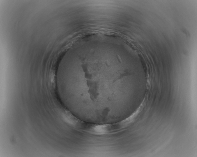 X0000115670178200911121200