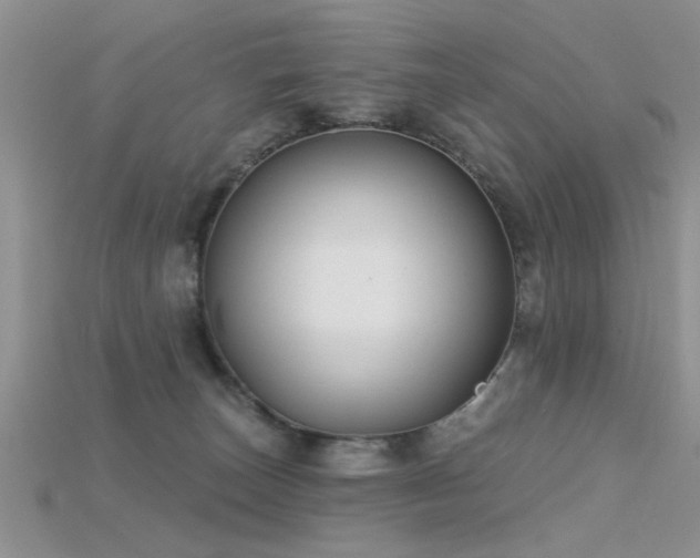 X0000115670179200911121200