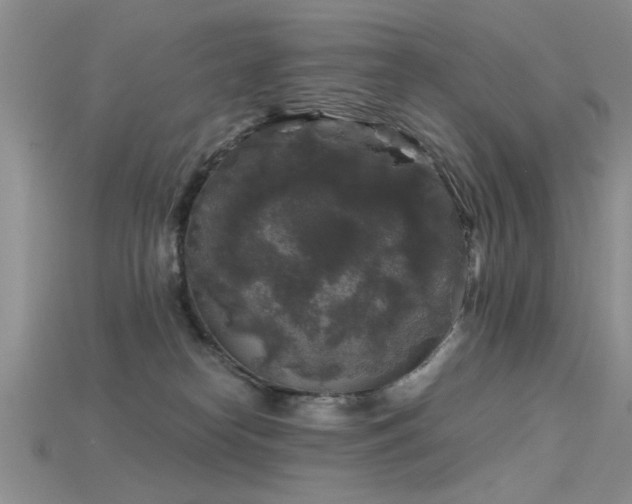 X0000115670182200911121200