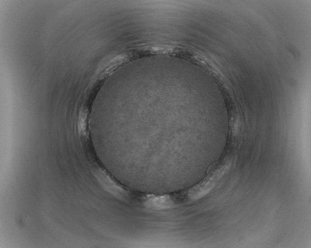 X0000115670185200911121201