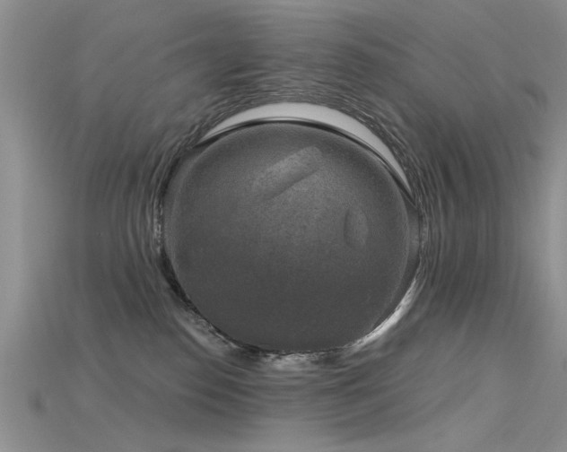 X0000115670186200911121201