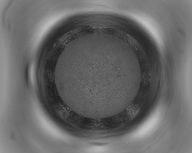 X0000115670189200911121201