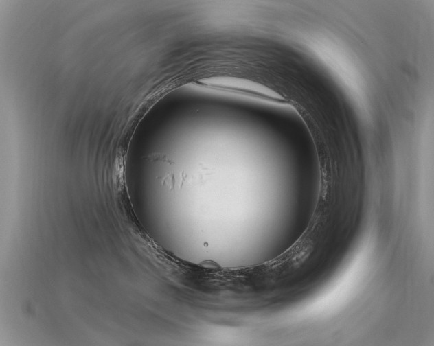 X0000115670190200911121201