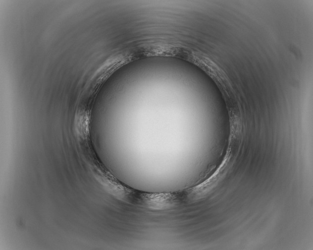 X0000115670191200911121201