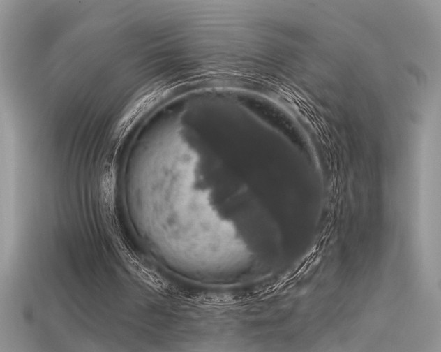 X0000115670194200911121200