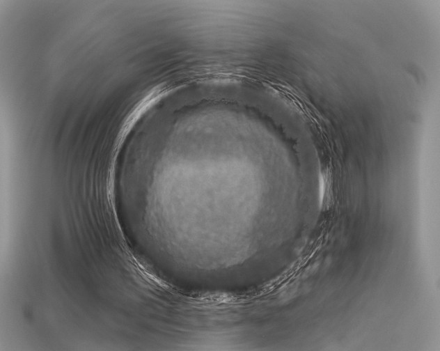 X0000115670195200911121200