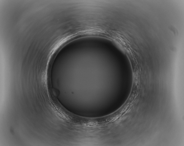 X0000115670196200911121200