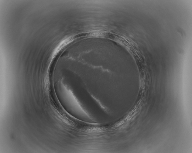 X0000115670198200911121200