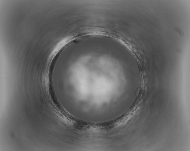 X0000115670199200911121200