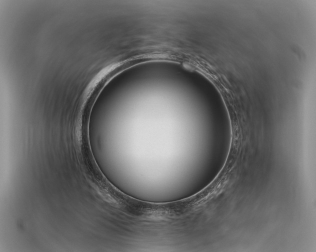 X0000115670200200911121200