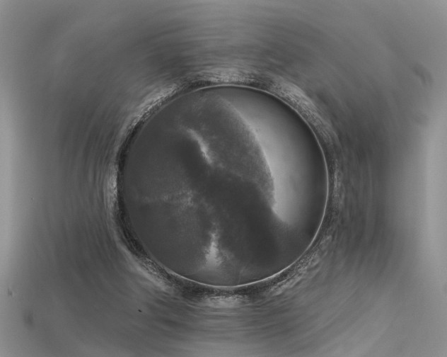 X0000115670202200911121200