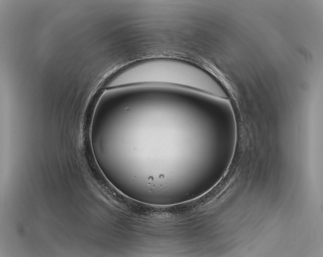X0000115670203200911121200