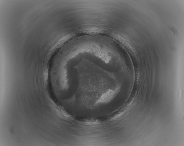 X0000115670206200911121200