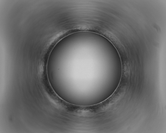 X0000115670208200911121200