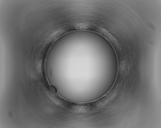 X0000115670209200911121200