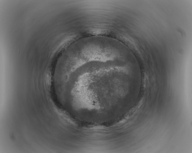 X0000115670210200911121200