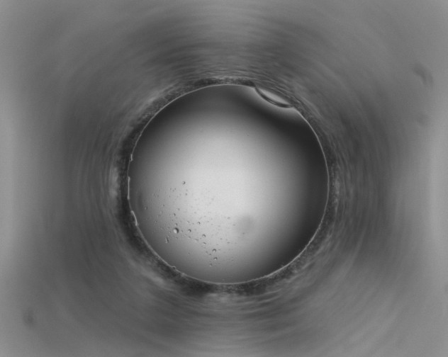 X0000115670211200911121200