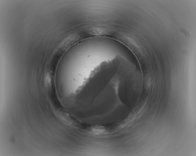X0000115670214200911121200