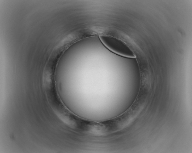 X0000115670215200911121200