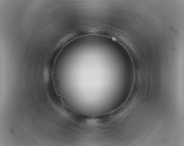 X0000115670216200911121200