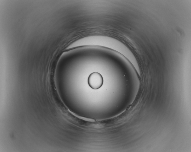 X0000115670217200911121200