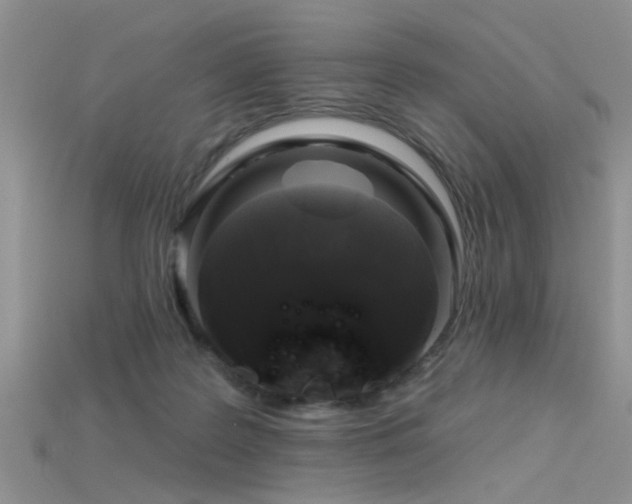 X0000115670219200911121200
