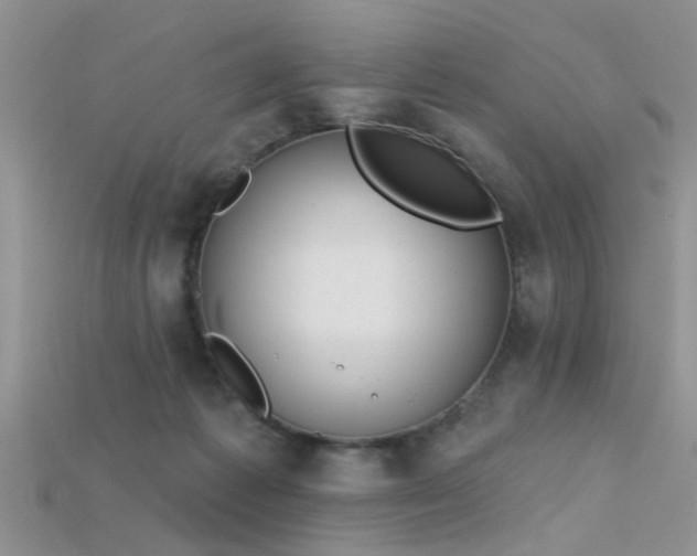 X0000115670221200911121200