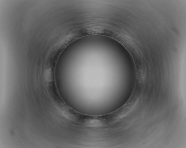 X0000115670224200911121159