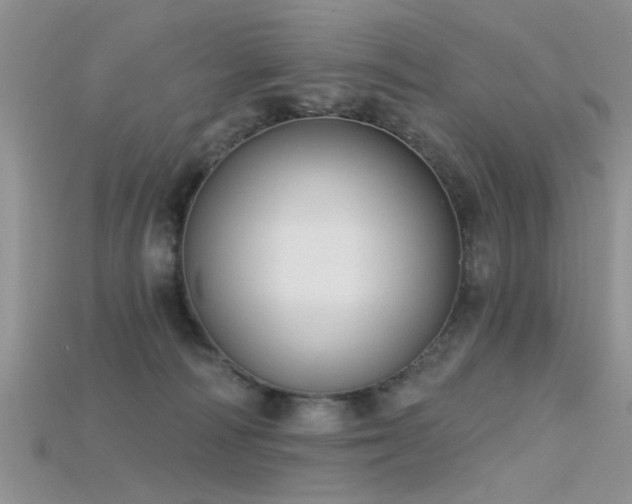 X0000115670226200911121159