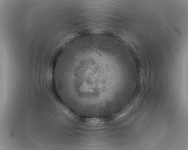 X0000115670230200911121159