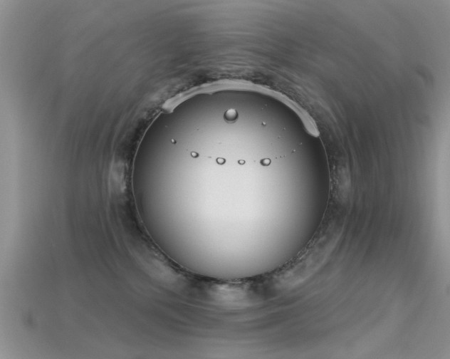 X0000115670232200911121159