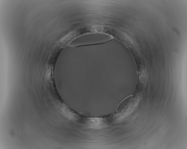 X0000115670233200911121159