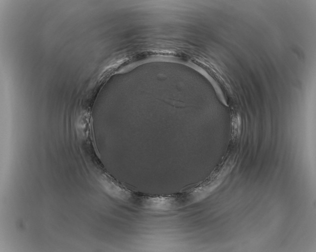 X0000115670237200911121159