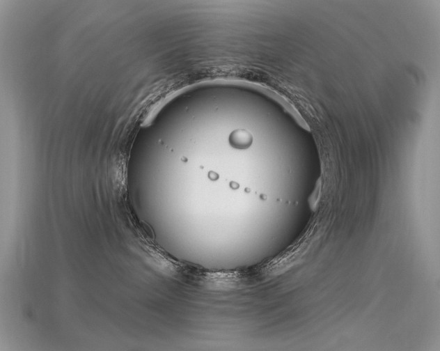 X0000115670240200911121159