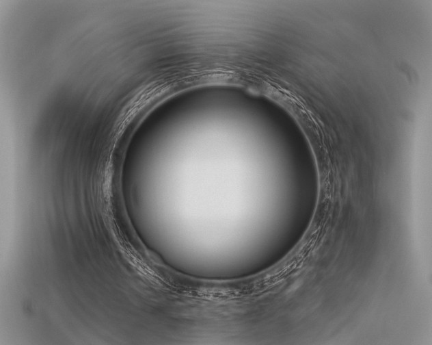 X0000115670242200911121159