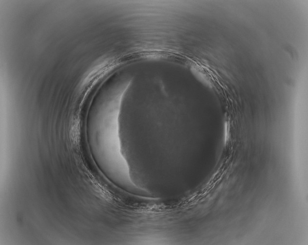 X0000115670243200911121159