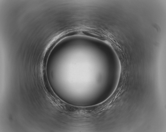 X0000115670244200911121159