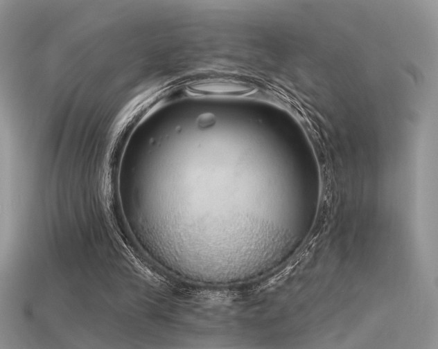 X0000115670245200911121159