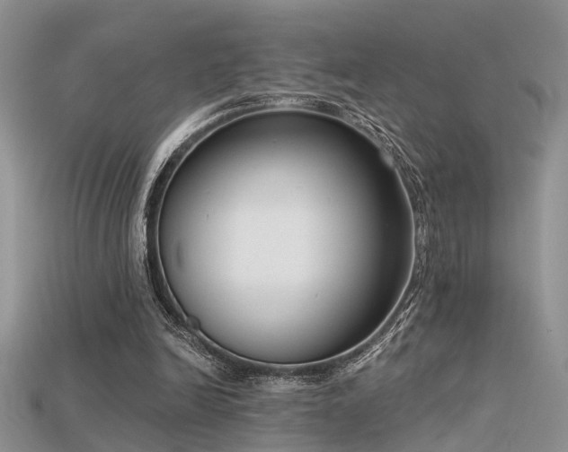 X0000115670246200911121159