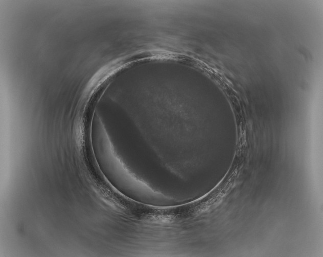 X0000115670247200911121159