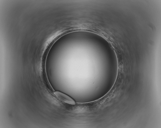 X0000115670248200911121159