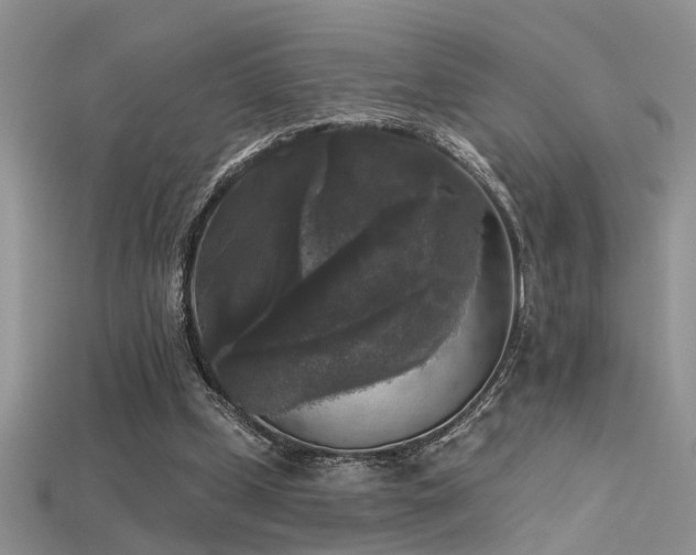 X0000115670249200911121159