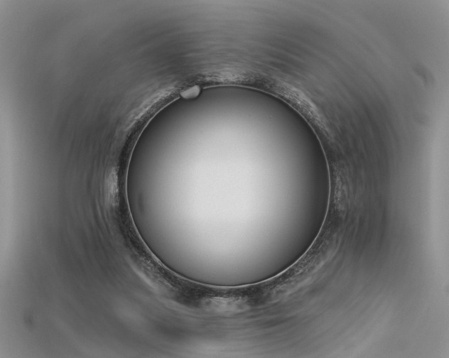X0000115670251200911121159