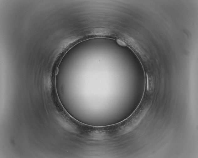 X0000115670252200911121159