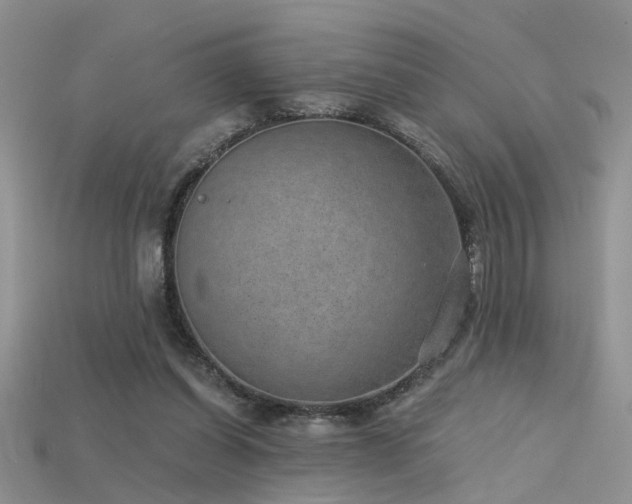 X0000115670254200911121159