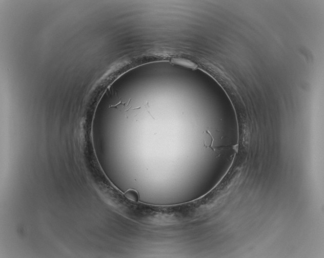 X0000115670256200911121159