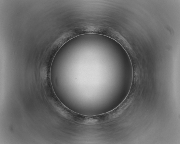 X0000115670257200911121159