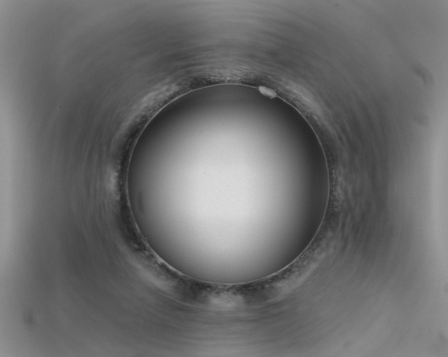 X0000115670258200911121159