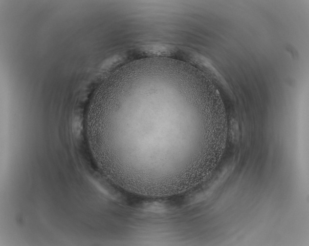 X0000115670259200911121159