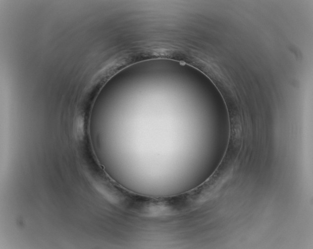 X0000115670262200911121159